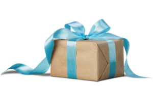 Gift with Blue Bow